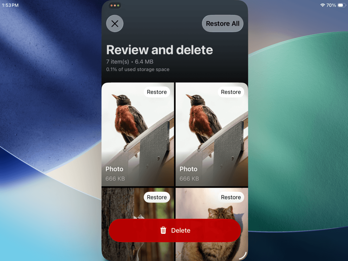 Review and Delete page in Clever Cleaner for iPad.