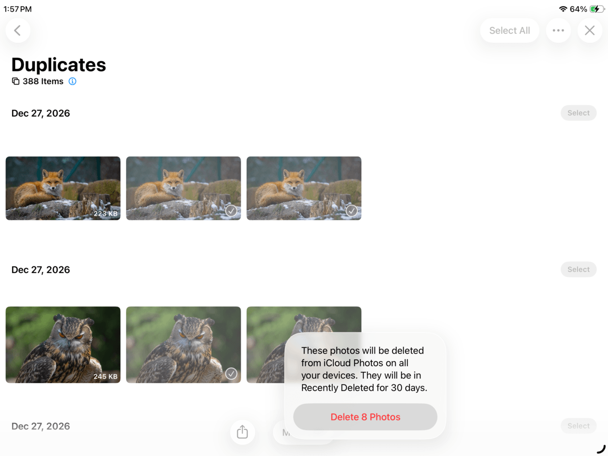 Confirming photo deletion in the iPad Photos app.