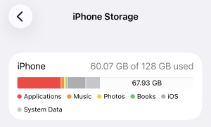 iPhone storage allocation bar in the Settings app.