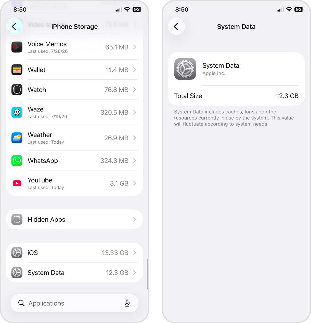 System Data in the iPhone Storage page
