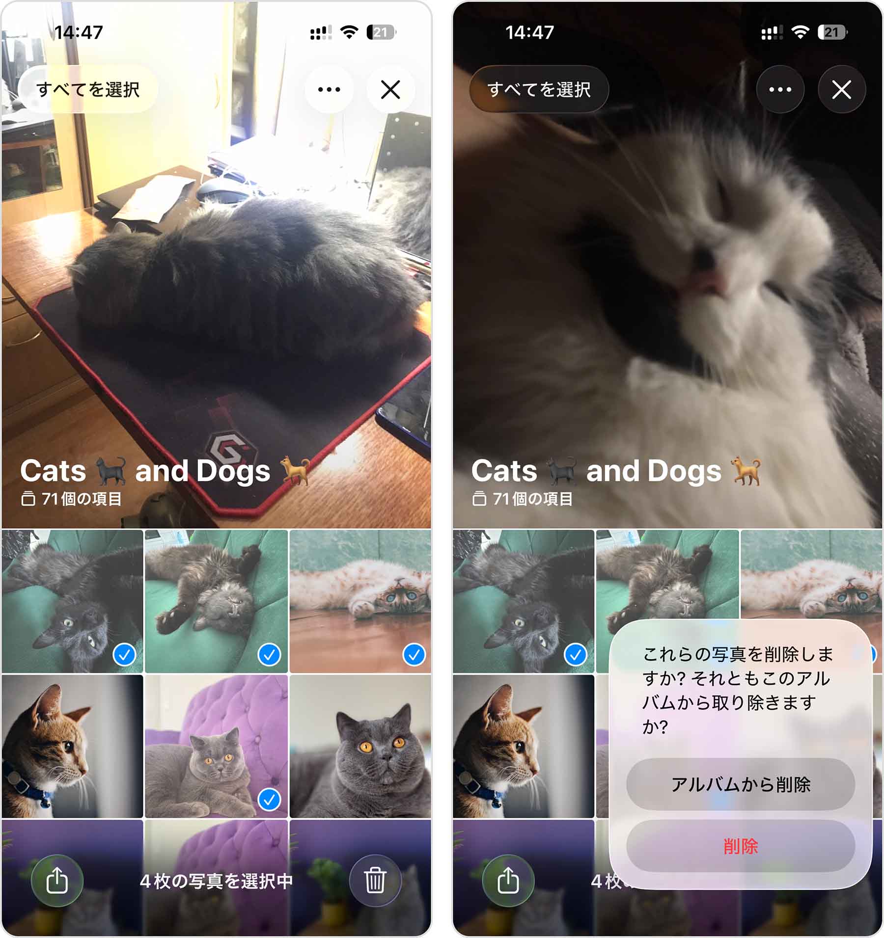 iPhoneから写真を削除する