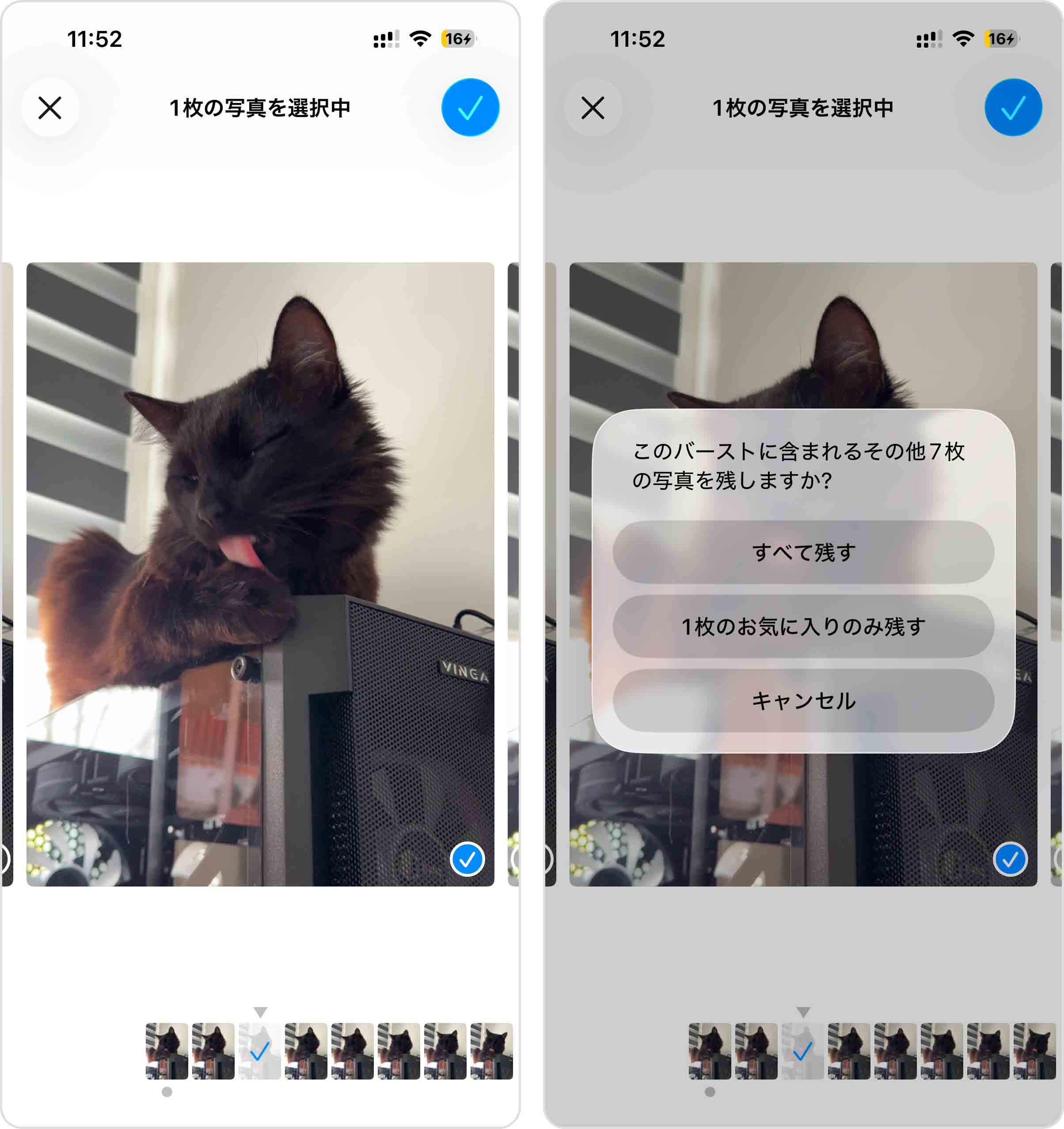 バースト撮影から1枚を残す