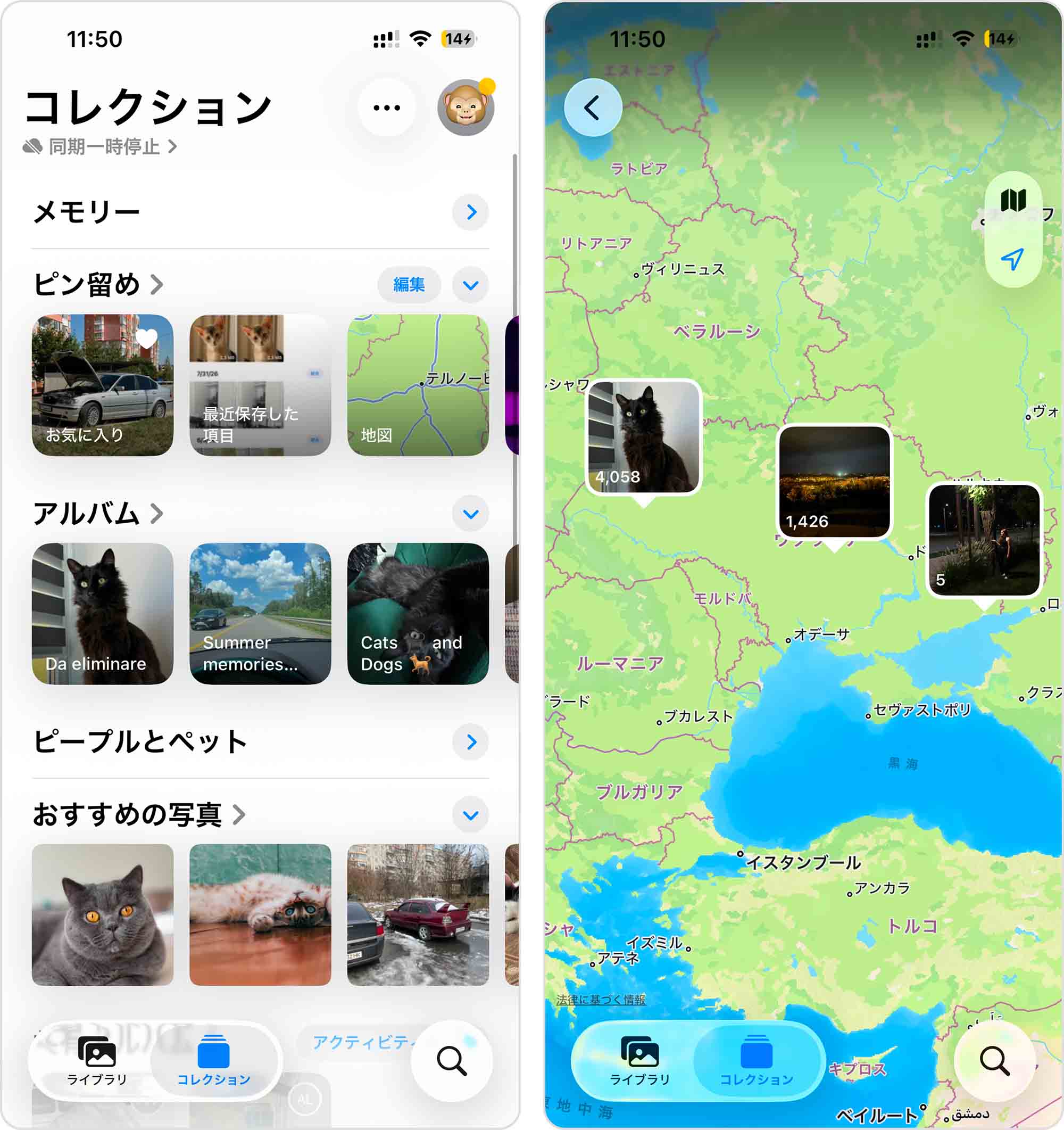 地図上で写真を確認する