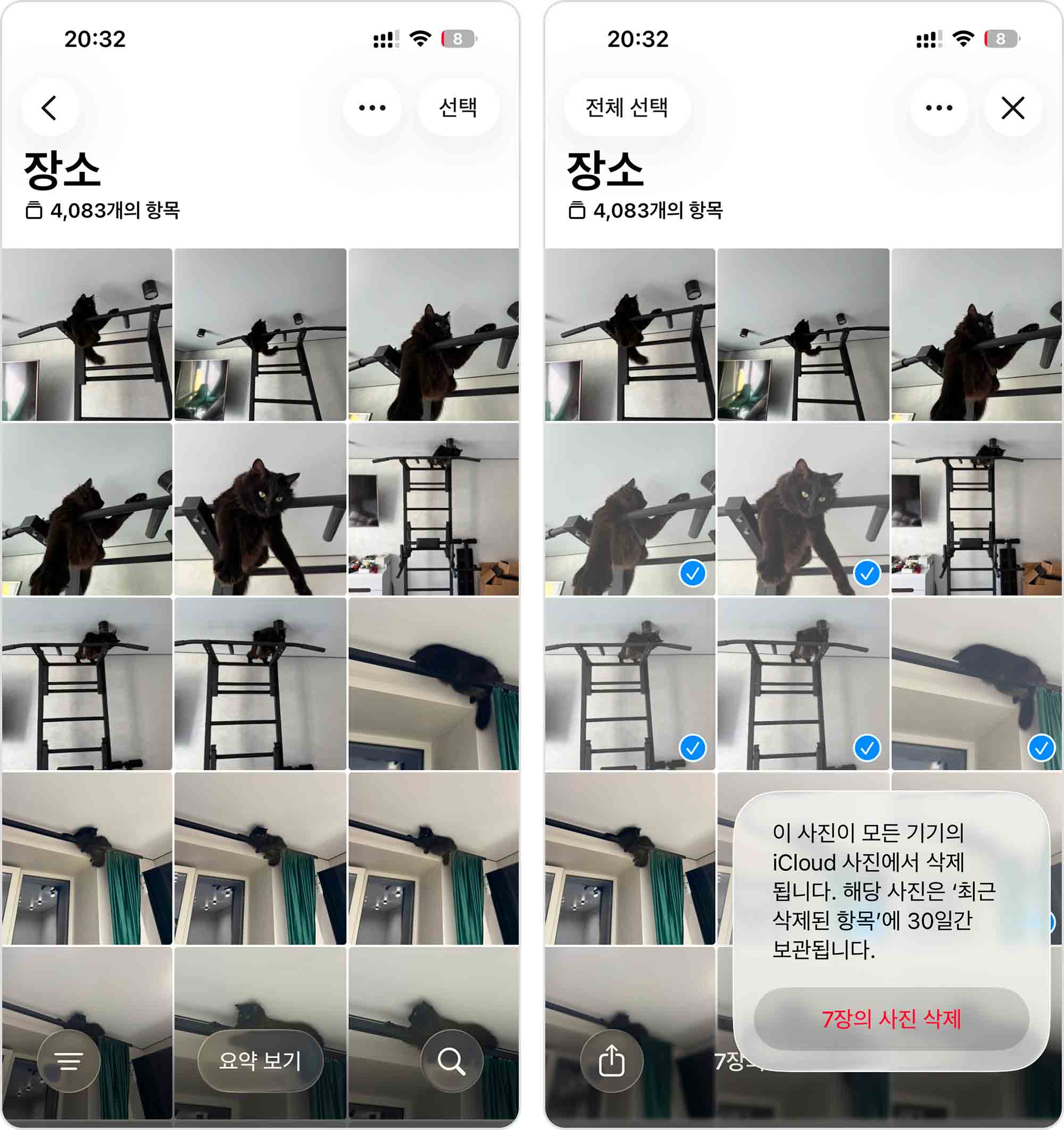 한곳에서 비슷한 사진 삭제하기