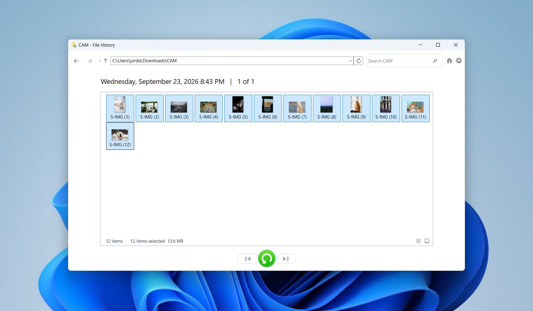 Browsing backed-up files in File History.