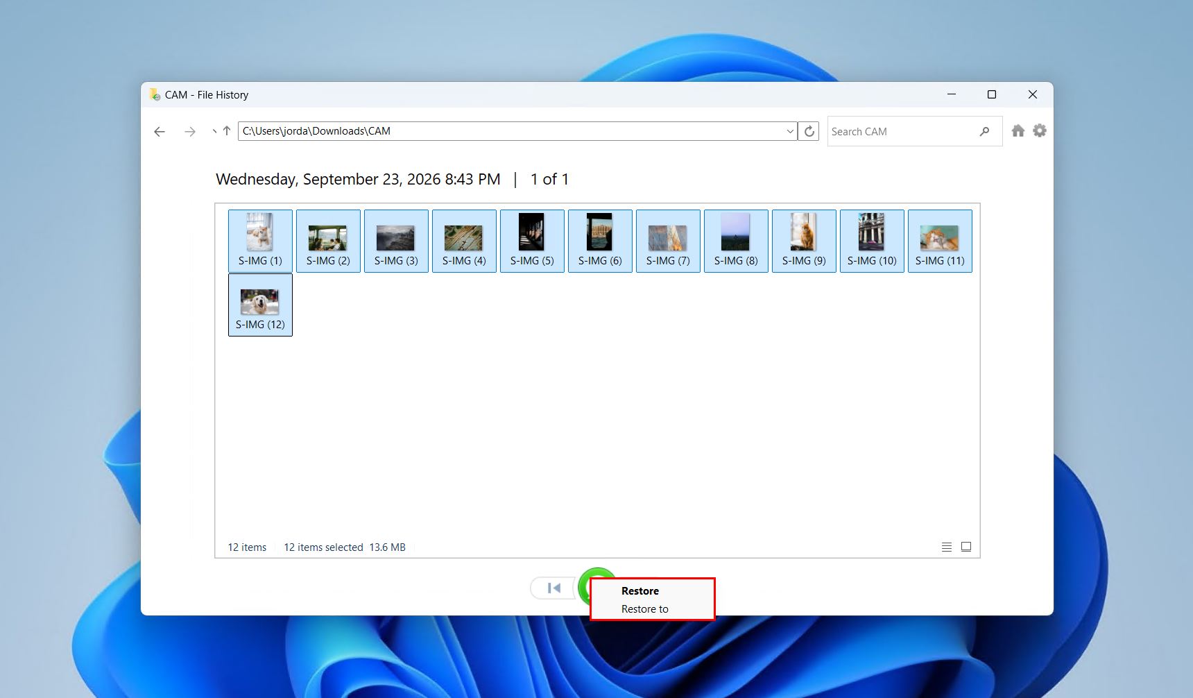 The Restore and Restore to options in File History.