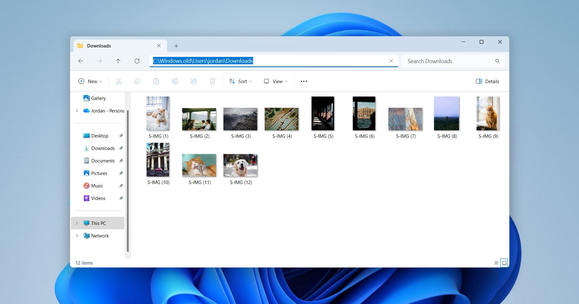 Old user folders inside Windows.old.