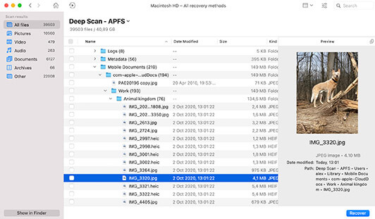 Disk Drill Enterprise Mac 破解版 Mac上强大的数据恢复工具