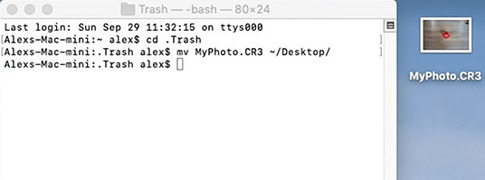 endnote web undo deleted files endnote web undo deleted files