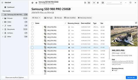 Select the files to recover