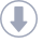 Downloads Icon