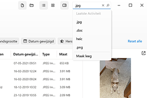 Beheer de herstelbare bestanden en zoek binnen de gevonden bestanden