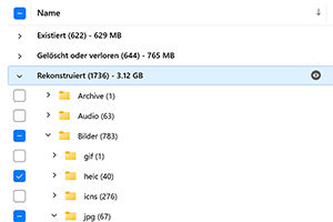 Abschnitt Überprüfung der Rekonstruktion