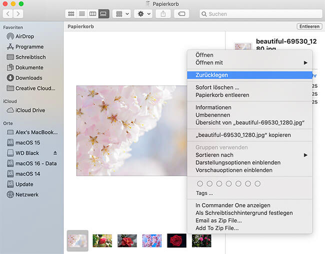 Mac Papierkorb Wiederherstellen Gratis Rettungssoftware