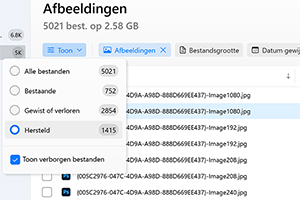 Controleer de gereconstrueerde sectie