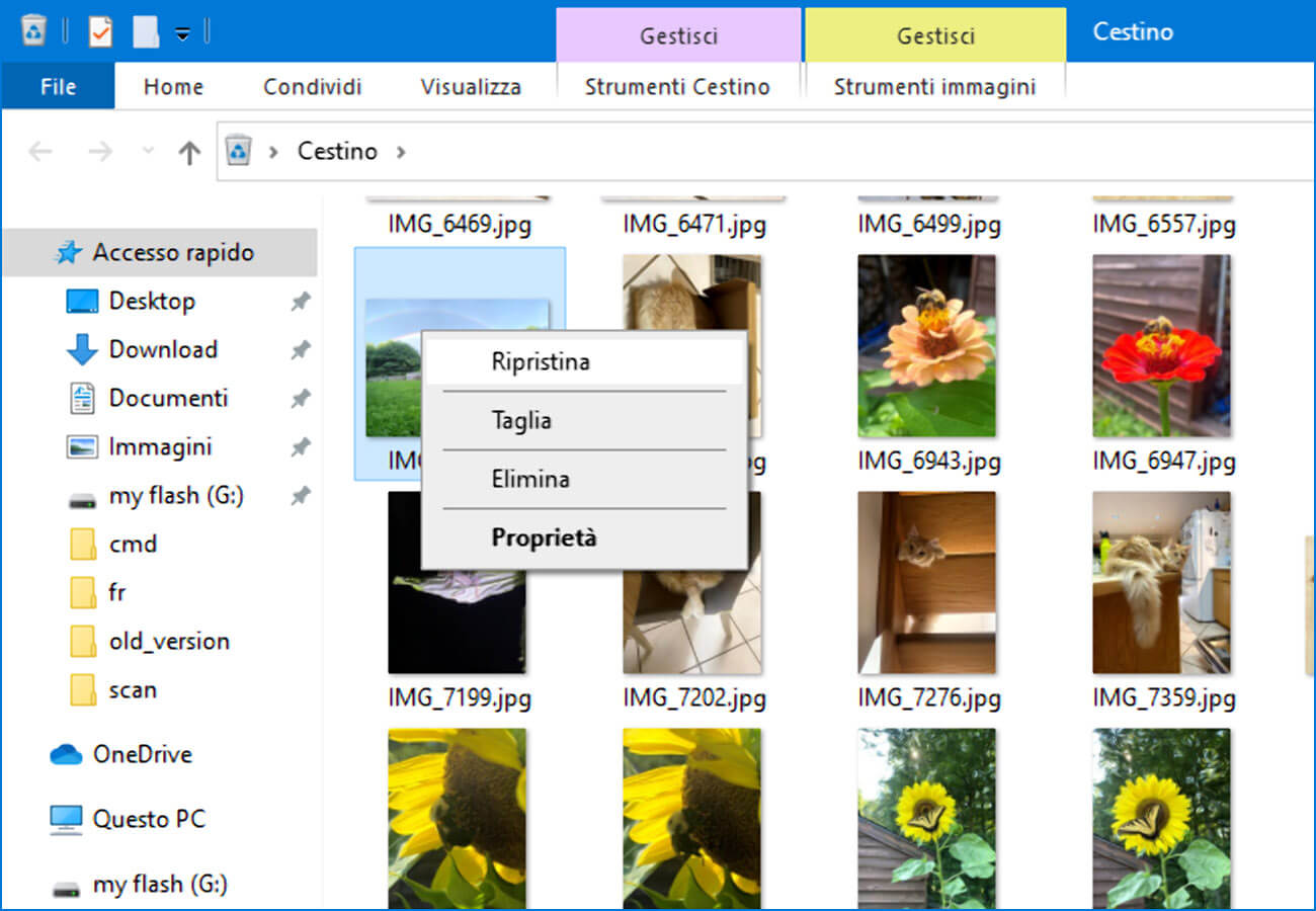 Recuperare File Cancellati Dal Cestino Windows 10
