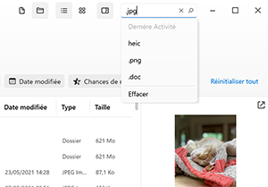Gérer les éléments récupérables et rechercher parmi les fichiers trouvés