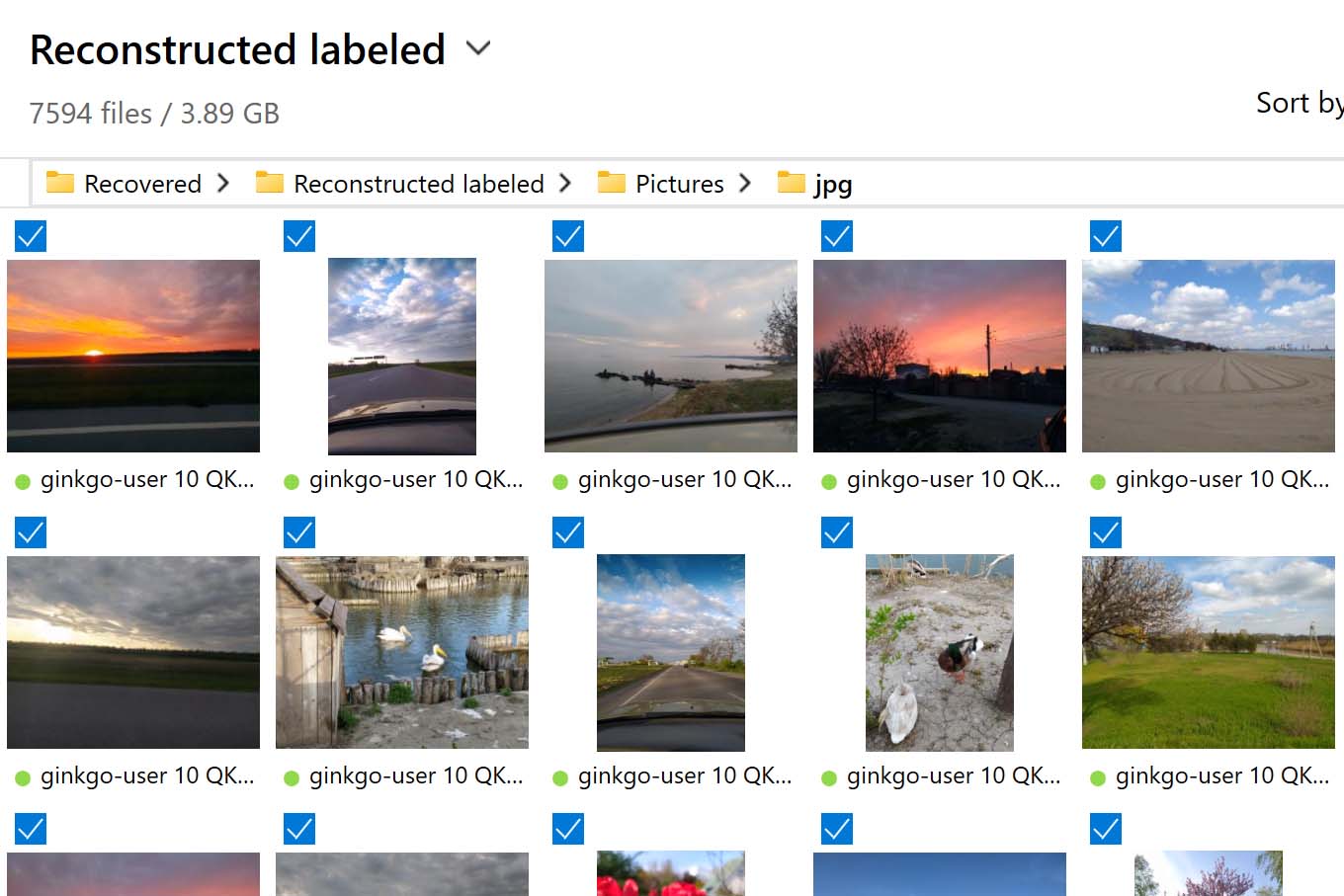 Search for images by previewing them in Disk Drill before performing the recovery