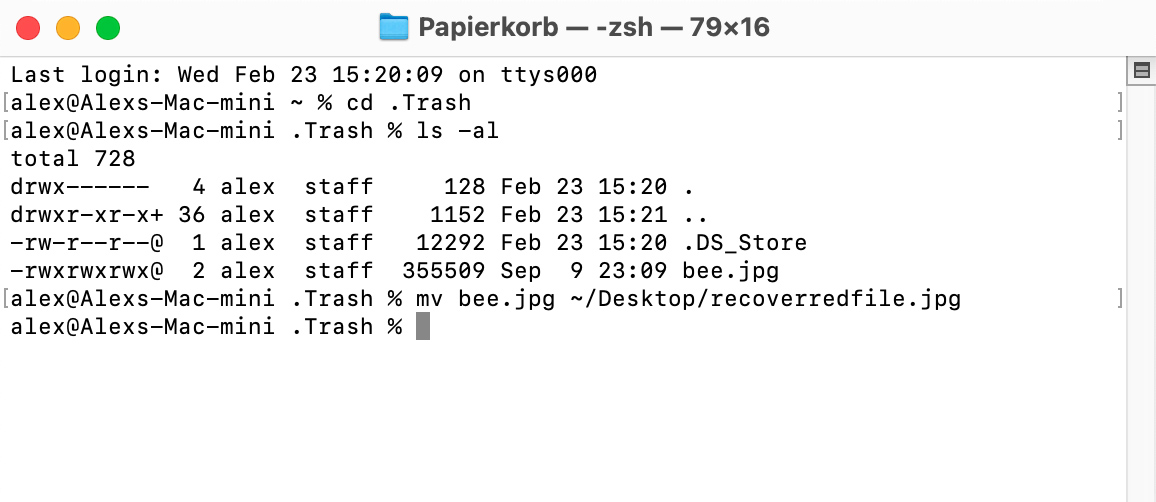Verwenden Sie die Terminal-App, um Dateien aus dem Papierkorb wiederherzustellen