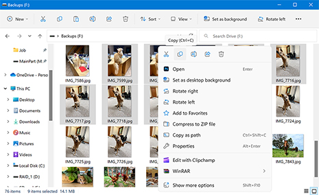 Obnovit z ruční zálohy Obnovit z ruční zálohy