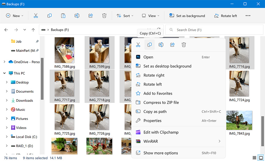 How to Recover Deleted Files: 8 Free Ways (Updated in 2024)