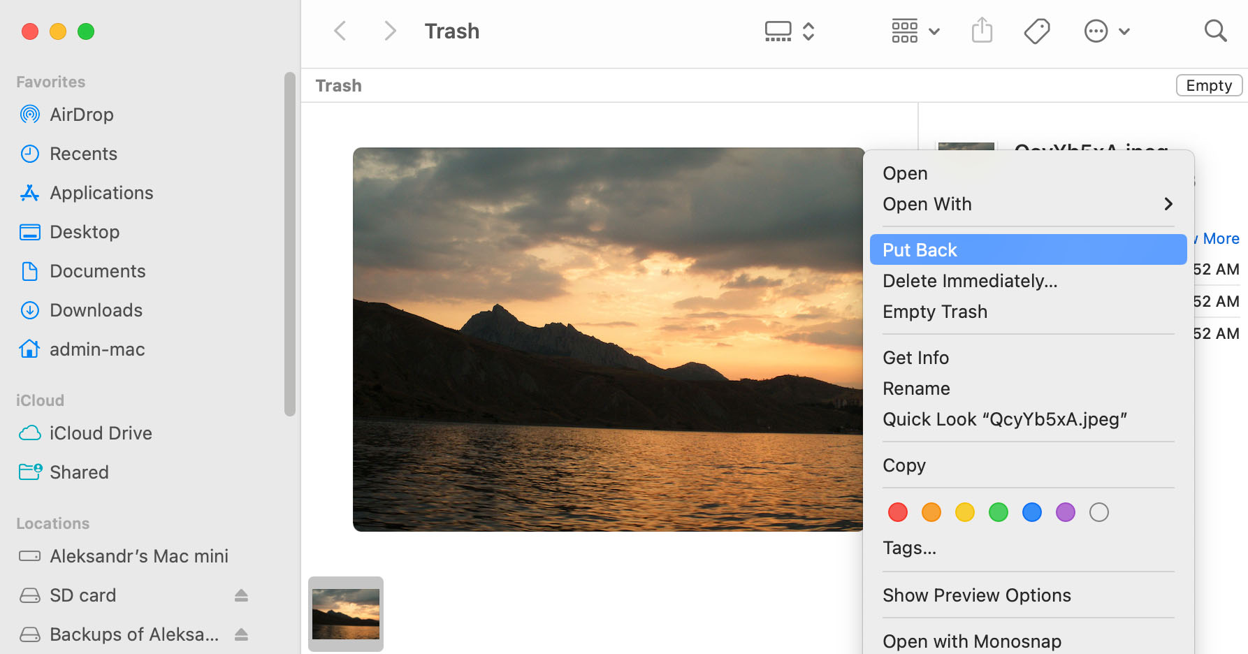 Quickly Restore Recently Deleted Files from the Trash on Mac