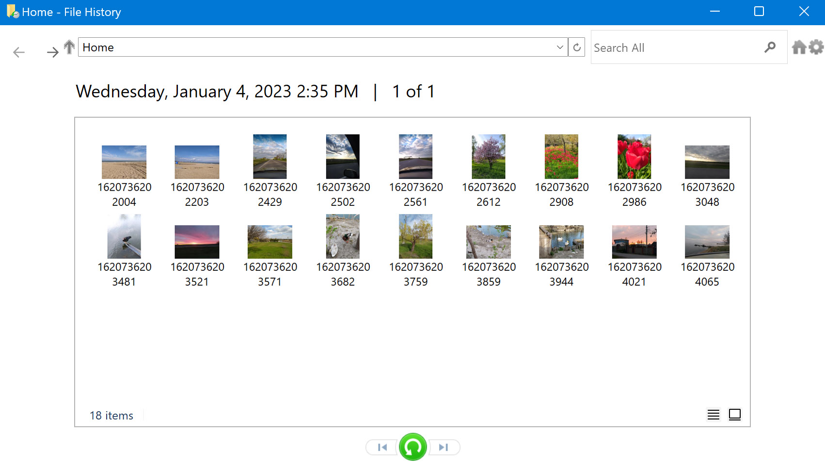 Use Windows File History