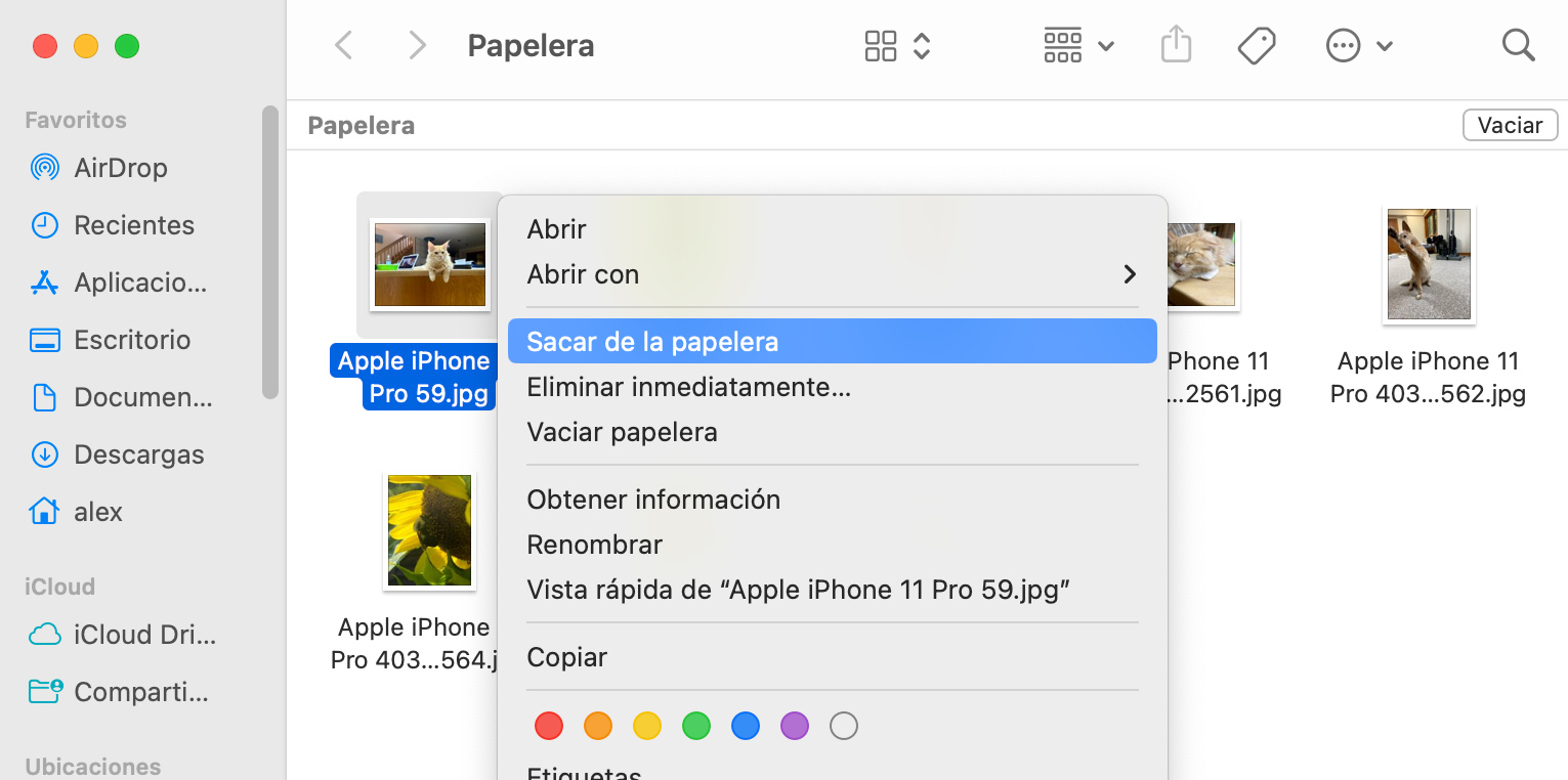 Recupere Archivos en Mac de la Papelera de Reciclaje con la opción Poner de Regreso