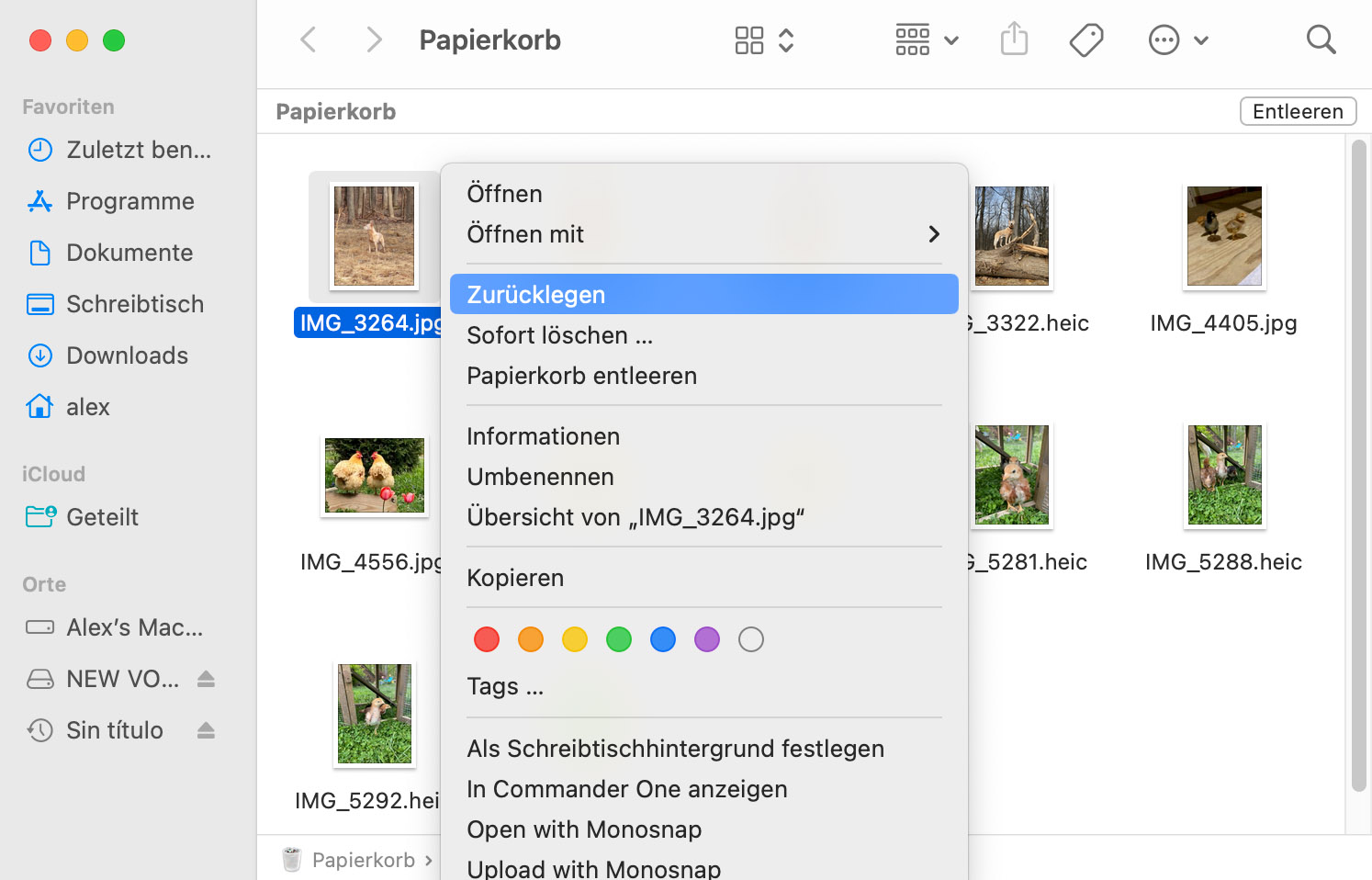 Schnelles Wiederherstellen kürzlich gelöschter Dateien aus dem Papierkorb auf dem Mac