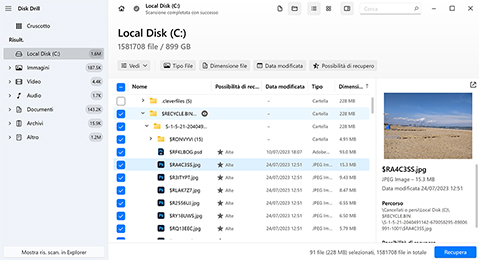 Controlla l’anteprima dei file trovati