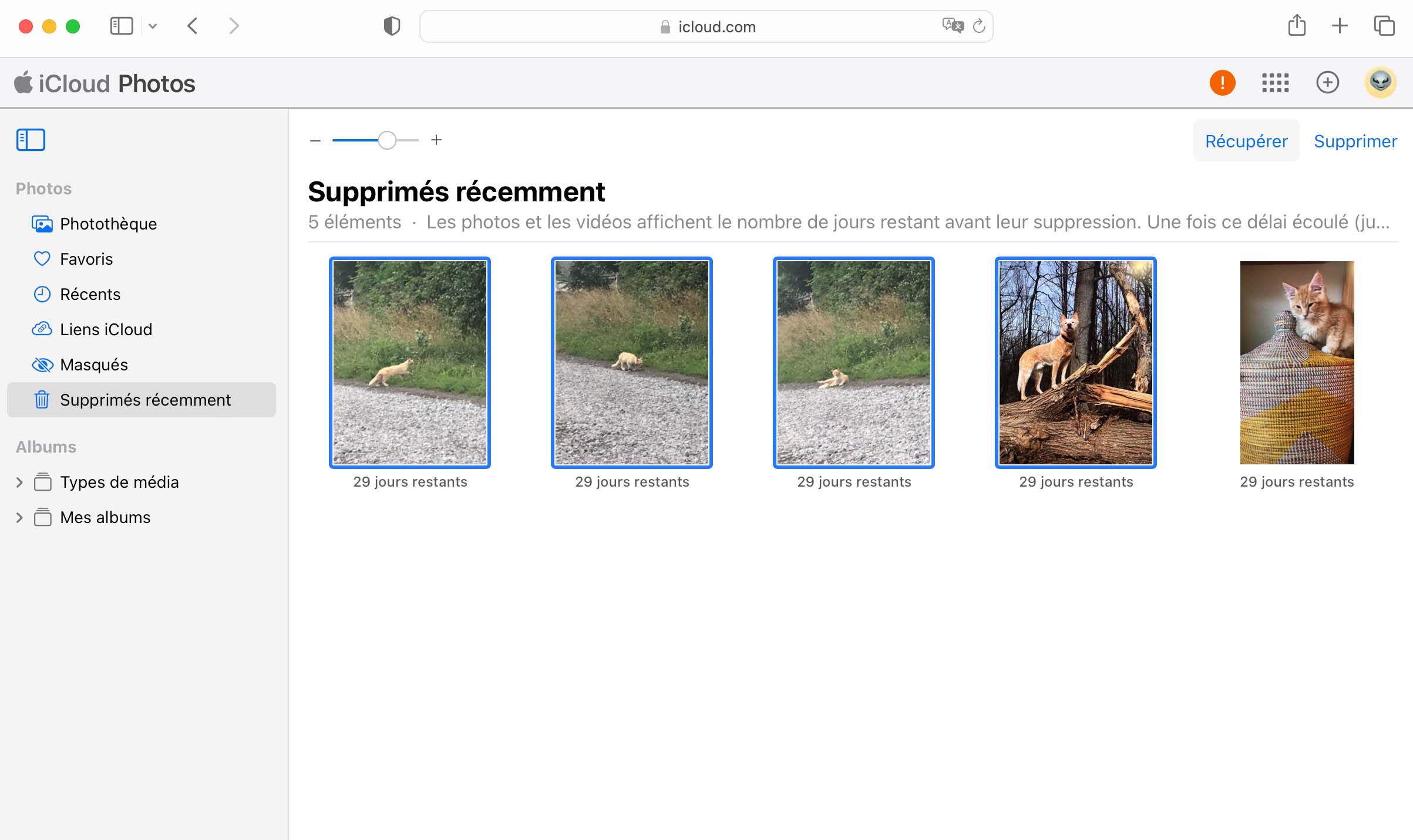 Récupérer des photos supprimées à partir de l'iCloud