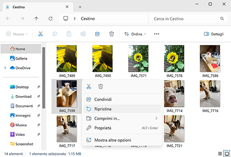 Recupera direttamente dal Cestino