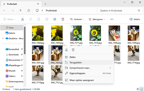 Beste methoden om verwijderde bestanden te herstellen op Windows 11/10/8/7