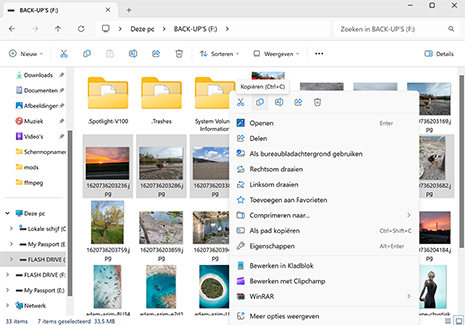 Herstellen vanuit een handmatige back-up