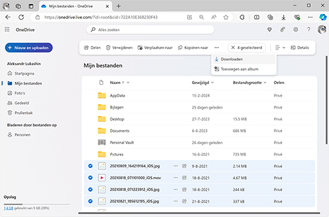 Verwijderde bestanden herstellen uit een cloudback-up