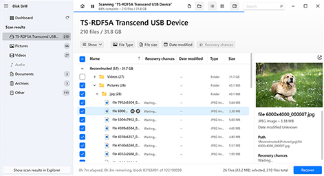 Select the Files That You Want to Recover on Your SD Card