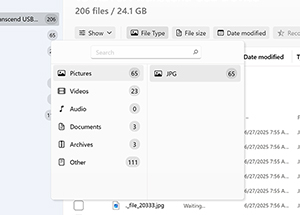 Use Filters for Faster Search by Selecting the Right File Type