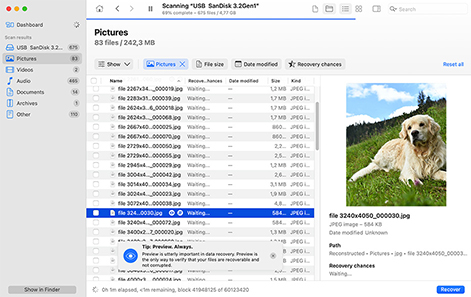 Forhåndsvis de gjenopprettbare filene Forhåndsvis de gjenopprettbare filene