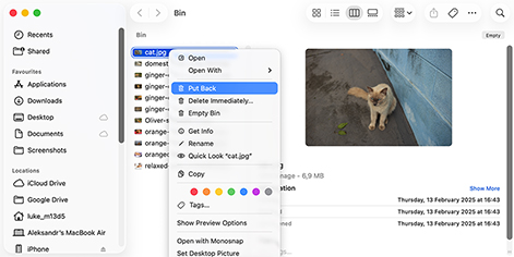 Recover Deleted Files on Mac from Trash via the "Put Back" Option Recover Deleted Files on Mac from Trash via the "Put Back" Option