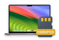 Dados corrompidos. Como recuperar um cartão SD corrompido