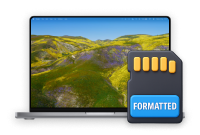 Recupere o Cartão SD Formatado e Todo o Seu Conteúdo