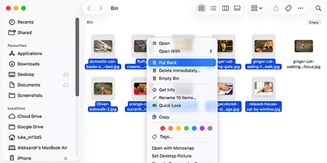 Restore Deleted Files on a Mac from the Trash Restore Deleted Files on a Mac from the Trash