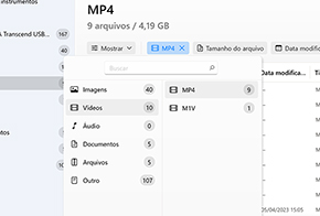 Use Filtros para Pesquisar Mais Rápido Selecionando o Tipo de Arquivo Correto