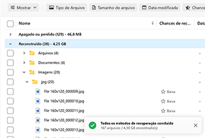 Verificar Seção de Reconstrução