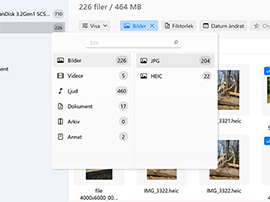 Använd filter för att söka snabbare / välj en specifik filtyp