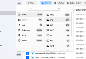 Använd filter för en snabbare sökning eller för att välja en specifik filtyp