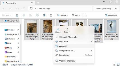 Återställ direkt från papperskorgen Återställ direkt från papperskorgen