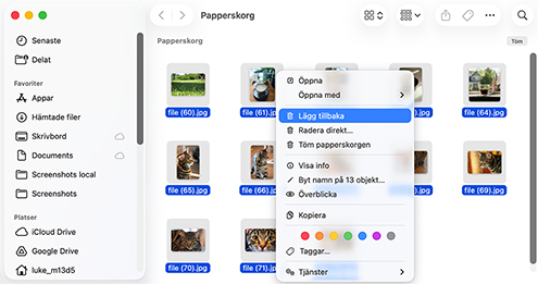 Återställ från din Macs papperskorg Återställ från din Macs papperskorg