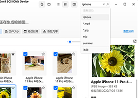管理可恢复项,并在找到的文件中进行搜索 管理可恢复项,并在找到的文件中进行搜索
