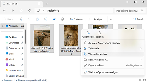Direkt aus dem Papierkorb wiederherstellen